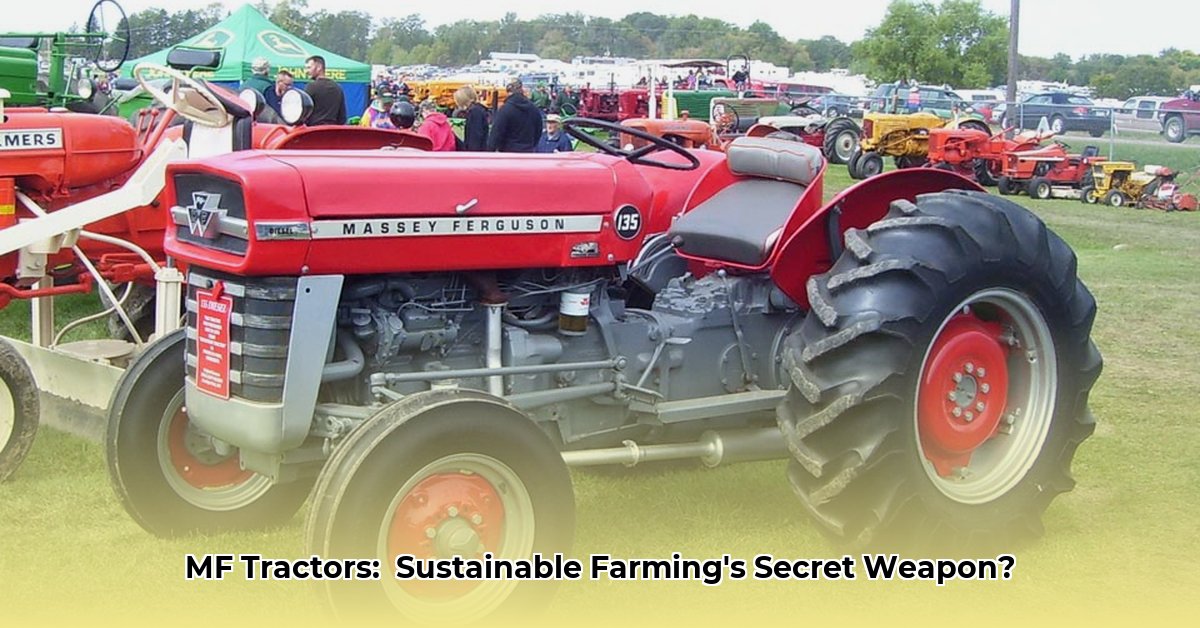 massey-ferguson-1970s-tractors